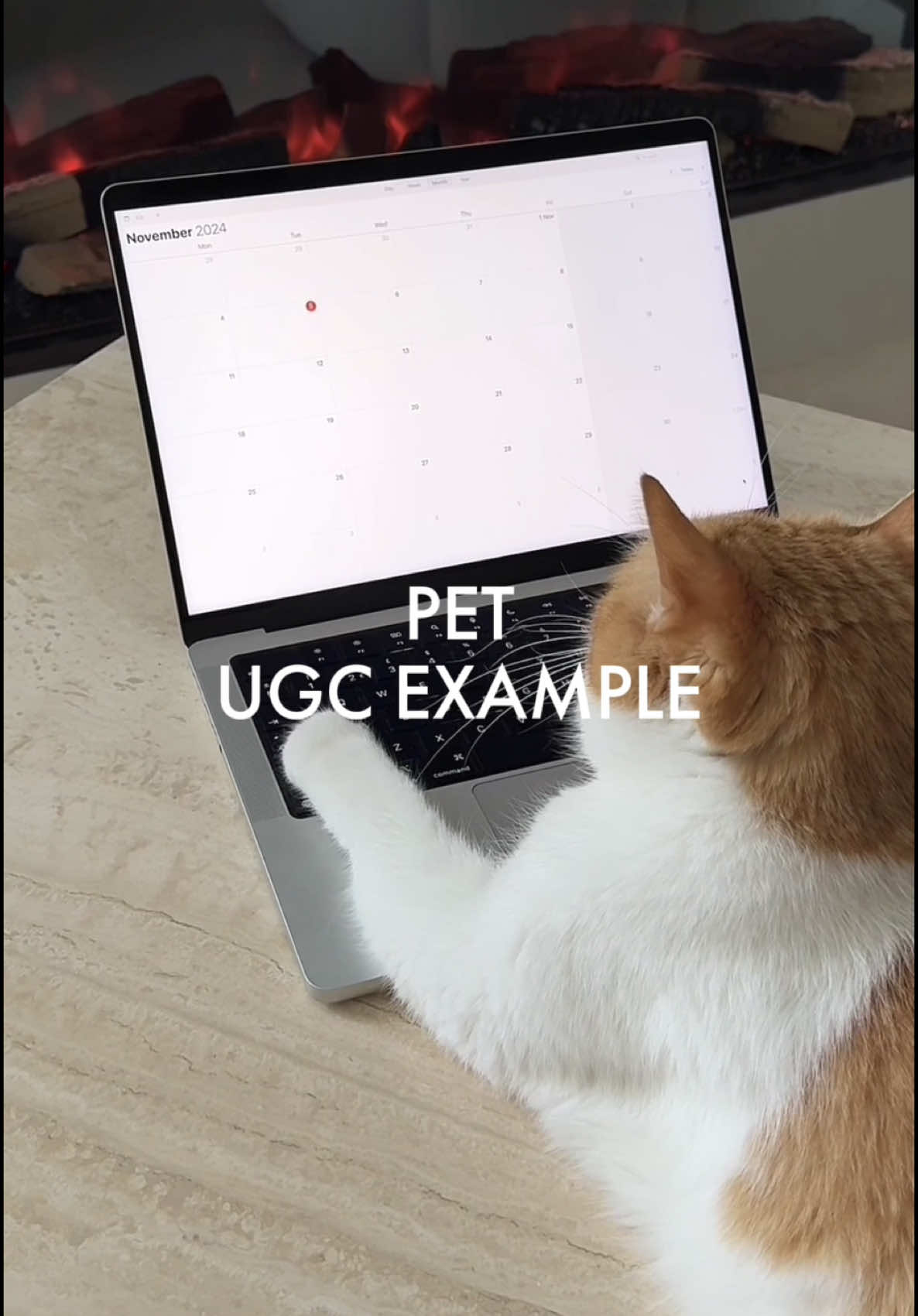 Pet UGC — @ugcliza